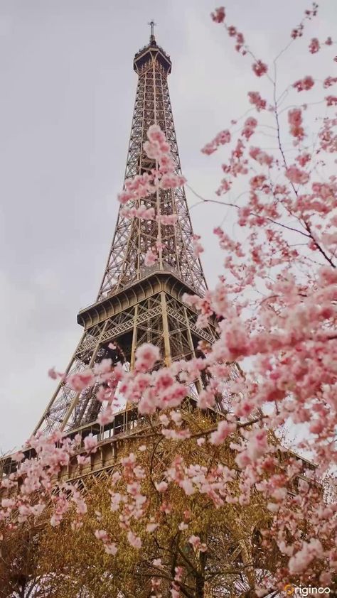 Pink Paris Wallpaper, Frühling Wallpaper, Eiffel Tower Photography, Desain Quilling, Paris Wallpaper, Paris Pictures, Pretty Landscapes, Spring Wallpaper, Paris Photography