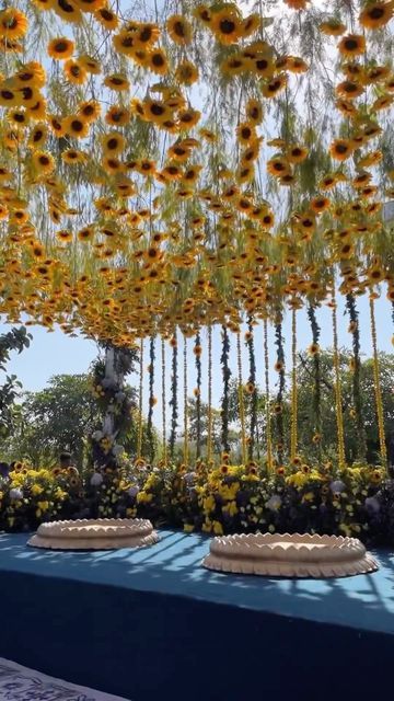 WeddingBazaar on Instagram: "Sunflower themed #haldiceremony decor ✨🌻 . . Bride - @loukreddyb Groom - @nikhillb18 Design & Decor - @juetahemdev Wedding planner - @yoloentertainmentofficial Venue - @rafflesudaipur Florist - @mybagiya Props & Candles - @shinecollectionbydeepaksharma Video 1 - @reelsandframes . . . Download @weddingbazaarofficial’s free App & explore curated ideas, plan weddings and book vendors all in one place! #LinkInBio 💕 . . . . #weddingbazaar #indianwedding #haldidecor #haldidecoration #haldidecorationideas #haldidecorideas" Haldi Venue Decor, Sunflower Theme Haldi Decor, Sunflower Decor Wedding, Sunflower Haldi Decor, Haldi Theme Ideas, Outdoor Haldi Decoration, Wedding Haldi Decoration, Sunflowers Decorations, Haldi Theme