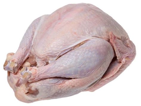 I'll take a #Gardein breaded turky, thank you! #Thanksgiving    Salmonella Outbreak Linked To Turkey Sickens 164 In Illinois Fresco, Peking Duck Recipe, Roasted Duck Recipes, Thawing Turkey, Fresh Turkey, Frozen Turkey, Turkey Stock, Thanksgiving Cooking, Peking Duck