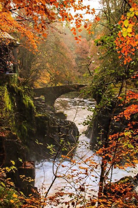 The Hermitage viewpoint during Autumn, Scotland Autumn Scotland, Fall Scenes, Scotland Landscape, Autumn Scenes, Wood Home, Male Photography, Autumn Scenery, England And Scotland, Fashion Decor