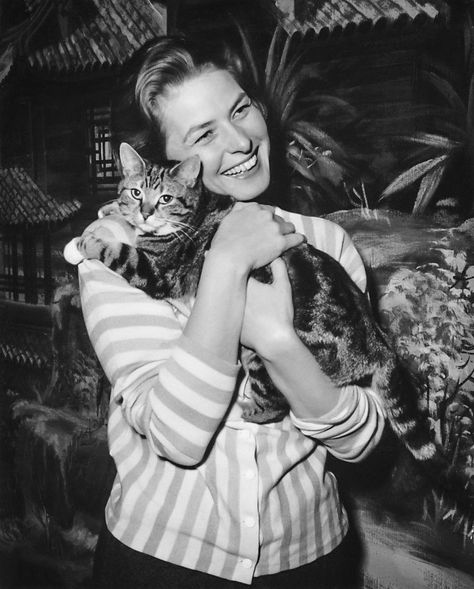 Ingrid Bergman & kitty, 1958 Glenda Farrell, Celebrities With Cats, Julie Christie, Marianne Faithfull, Mia Farrow, Freddy Mercury, Carole Lombard, Barbara Stanwyck, Vivien Leigh