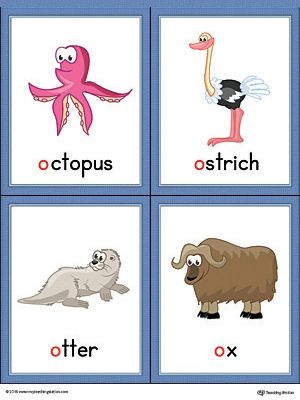 Letter O Words and Pictures Printable Cards: Octopus, Ostrich, Otter, Ox (Color) | MyTeachingStation.com Letter D Words And Pictures, Letter D Flashcards, Letter D Words, D Words, Alphabet Word Wall Cards, Dog And Duck, Alphabet Word Wall, Color Worksheet, Vocabulary Flash Cards