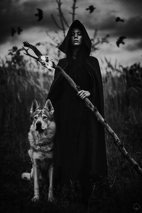 Adult Fantasy Books, Witch Photos, Wolves And Women, Halloween Photography, Fantasy Photography, Halloween Photoshoot, Witch Art, Witch Aesthetic, A Wolf