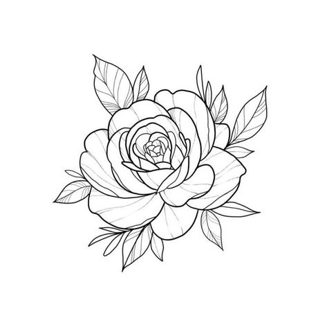 Female Tattoo Designs For Women, Tattoo Crane, Traditional Tattoo Outline, Flower Tattoo Stencils, Rose Tattoo Stencil, Rose Drawing Tattoo, Rose Stencil, Tato Henna, Tattoo Outline Drawing