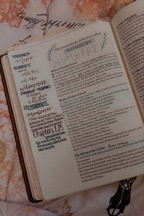 Numbers Bible Study Notes, Book Of Numbers Bible Study, Numbers Bible Study, Numbers Bible Journaling, Journaling Numbers, Numbers Bible, Christian Aesthetics, Studying Ideas, Bible Overview