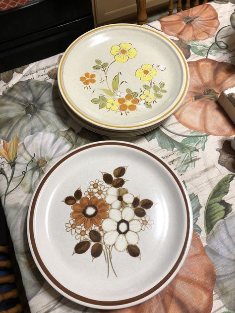 Two sets of vintage 70s dishes found at local thrift stores today. $.50 a plate and they are lovely. 70s Dishes, Thrifted Dishes, Thrift List, 1970s House, Americana Aesthetic, 70s Home, Plates And Bowls Set, Local Thrift Stores, Vintage Stoneware