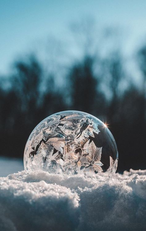 Bubble Photo, Ice Bubble, Frozen Bubbles, Macro Photography Nature, Bubble Drawing, Photography Course, Light Blue Aesthetic, I Love Winter, Winter Photos