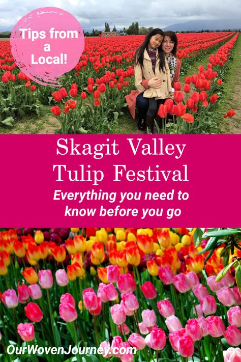 Here's your COMPLETE guide to everything you need to know to make your visit to the Skagit Valley Tulip Festival the best ever. We’ve included everything from where to go, how much it costs, where to eat and stay and other things to do in the area!   #tulips #tulipfestival #skagitvalley #pnw #thingstodo #seattle #washingtonstate Tulip Festival Washington, Skagit Valley Tulip Festival, Washington Travel, Skagit Valley, Tulip Festival, Festival 2023, Usa Travel Guide, Tulip Fields, Spring Trip