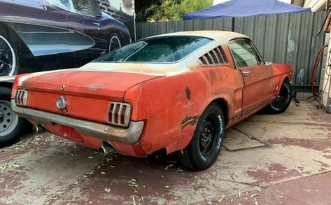 1966 Ford Mustang Fastback, 65 Mustang Fastback, Mustang 1968 Fastback, 1969 Mustang Fastback, 1967 Ford Mustang Fastback, Mustang Restoration, 1970 Mustang Fastback, Mustang 1964, Classic Mustangs