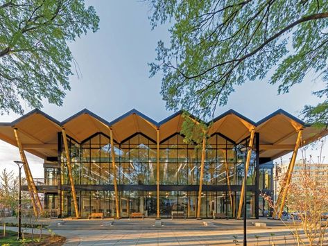 Folded Plate Roof, Neighborhood Library, Roof Decoration, Roofing Ideas, Timber Architecture, Timber Roof, Best Project, Conceptual Architecture, Roof Architecture