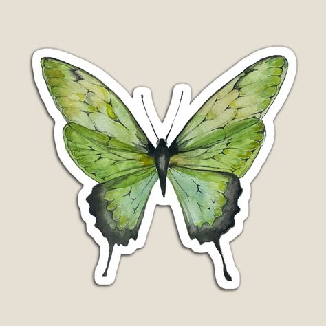 Get my art printed on awesome products. Support me at Redbubble #RBandME: https://www.redbubble.com/i/magnet/Monarch-Green-Sage-Butterfly-Watercolor-Sticker-Aesthetic-by-barbz2020/95792524.TBCTK?asc=u Laptop Stickers Collage, Sage Butterfly, Monarch Butterfly Watercolor, Green Scrapbook, Cover Binder, Sticker Aesthetic, Fairy Stickers, Images Kawaii, Green Sticker