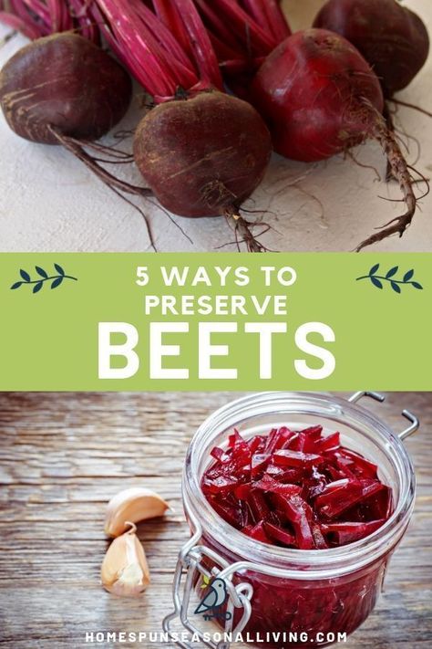 There are 5 different ways you can preserve beets. Fresh beets are wonderful and make make amazing preserves. Learn how to can, pickle, ferment, dehydrate, and root cellar beets with the tips and instructions found here for healthy eating for a long time to come. #homemade #canning #DIY #tips #healthy Preserving Fresh Beets, How To Preserve Fresh Beets, How To Store Beets In Fridge, How To Store Beets From Garden, How To Use Beets, Fresh Beet Recipes, Beets Preserving, How To Cook Fresh Beets, Canning Beets Recipes