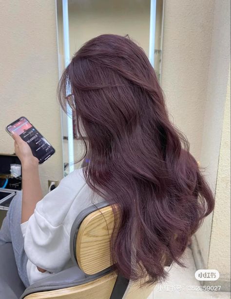 Purplish Red Hair Dye, Plum And Brown Hair, Dark Cherry Hair Aesthetic, Pinkish Purple Hair Color, Cherry Pink Hair Color, Plum Highlights In Brown Hair, Purple Tinted Brown Hair, Korean Color Hair, Mauve Brown Hair