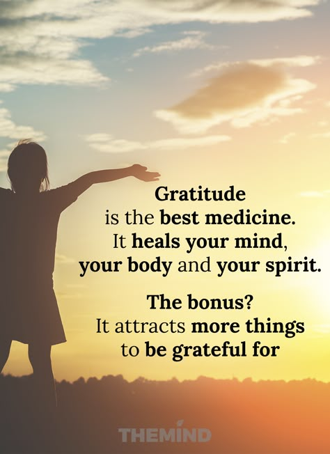 Gratitude Day, Quotes Gratitude, Morning Gratitude, Grateful Quotes, Thankful Quotes, Gratitude Journal Prompts, Inspirational Life Quotes, Gratitude Affirmations, Women Motivation