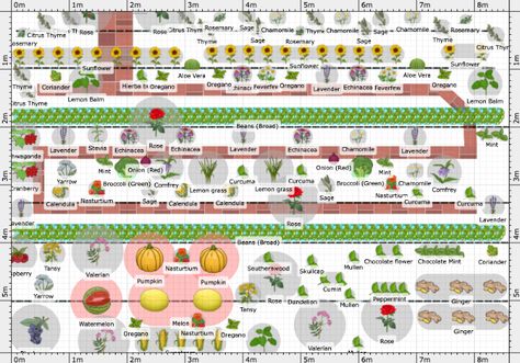 Garden Plan - 2025: Medicinal Garden Plan 2025, Sensory Gardens, Medicinal Garden, Garden Plan