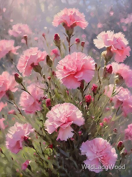 Field of pink carnations, acrylic art style. by WildLadyWood | Redbubble Painting Carnations Flower, Carnation Field, Carnations Painting, Pink Carnation Aesthetic, Floral Photography Nature, Carnation Tattoo, Pretty Flowers Pictures, Pink Carnations, Carnation Flower