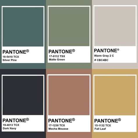 Pantone Colors Earth Tone, Pantone Earth Tone Colour Palettes, Pantone Color Palette Earth Tones, Office Color Pallete, Hospitality Color Palette, Pantone Earth Tones, Earthy Tone Color Palette, Earth Pantone, Muted Color Palette Earth Tones