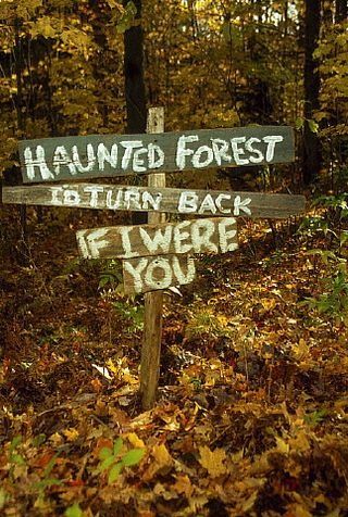 Haunted Trails Ideas, Halloween Party In The Woods, Haunted Forest Halloween Party, Haunted Campground Ideas, Haunted Woods Decorations, Dark Forest Halloween Decorations, Hunted Trail Ideas, Haunted Halloween Trail Ideas, Haunted Walk Ideas