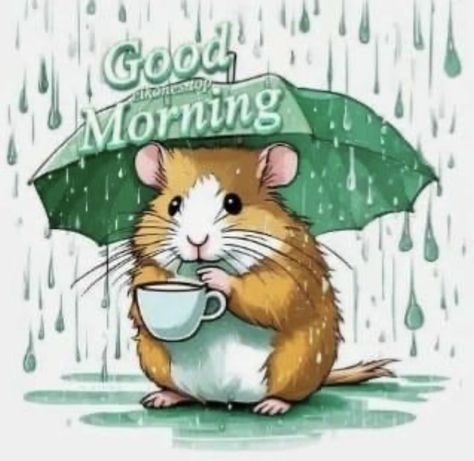 Rainy Day Funny Quotes, Rainy Morning Coffee, Rainy Day Good Morning, Rainy Morning Quotes, Rainy Day Images, Rainy Good Morning, Good Morning Rainy Day, Good Morning Animals, Good Morning Happy Monday