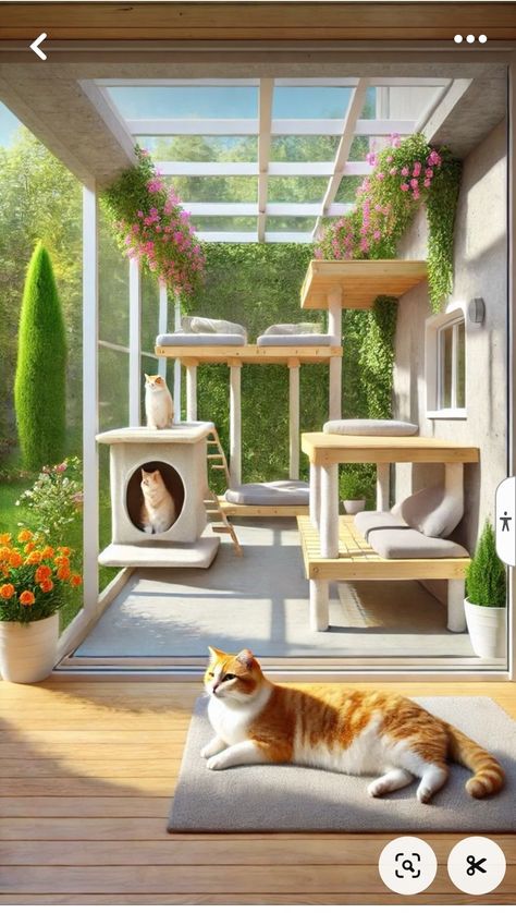 Outside Cat Enclosure, Outdoor Cat Tunnel, Catio Ideas, Cat Room Decor, Outdoor Pet Enclosure, Outdoor Enclosure, Cat Space, Cat Enclosures, Cat Farm