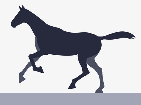 Horse Run/Walk + FREE After Effects Rig by James Hazael Horse Run Animation, Horse Walking Animation, Horse Running Animation, Learn To Draw Anime, Cut Out Animation, Walking Animation, Wild Horses Running, Horse Animation, Horse Rearing