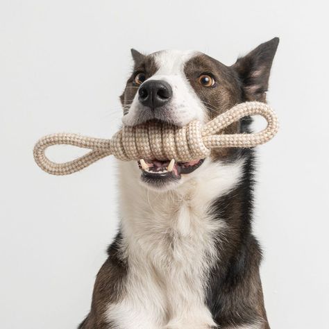 Stocking Stuffer Deals with Special Free Items Included Knot Rope, Rope Dog Toys, Rope Dog, Interactive Dog Toys, Hemp Rope, Dog Teeth, Heart Frame, Dog Images, Dog Themed