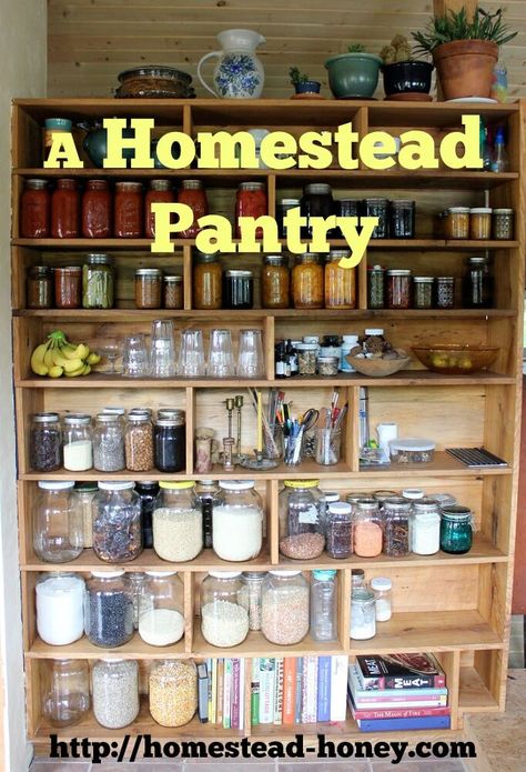 Canned Good Storage, Homestead Pantry, Homestead Kitchen, Custom Pantry, Homesteading Diy, Root Cellar, Homestead Farm, Homestead Gardens, Homesteading Skills