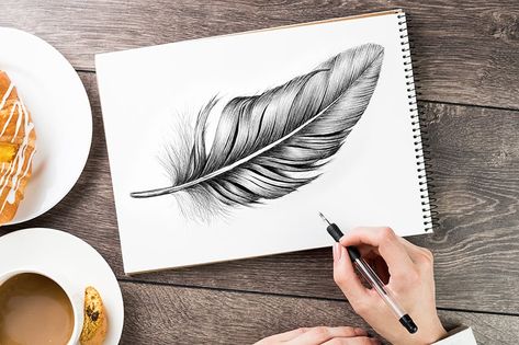 How to Draw a Feather – Steps to Creating an Easy Feather Drawing Feather Sketch, Feather Illustration, Feather Drawing, Feather Texture, Feather Pen, Drawing Digital, Color Pencil Art, Drawing Skills, Art Classroom