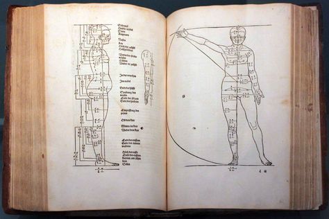 Albrecht Dürer, \"Four Books of Human Proportion.\" (1532) Drawing Boxes, Painter Drawing, Albrecht Dürer, Albrecht Durer, Anatomy, Painter, Male Sketch, Illustrations, Human