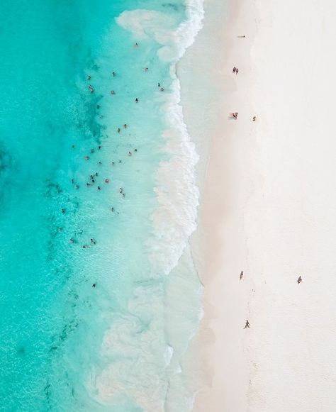 🏖️ #WhiteSandyBeach 🏝️ Incredible view of the white sandy beach from a bird's eye view. Top view of a beautiful white sand beach with turquoise sea water and palm trees, aerial drone shot. Beach Birds Eye View, Sea Top View, Beach Top View, Bird's Eye View, Aerial Drone, Sunny Beach, Sea Water, Beach Tops, Birds Eye View