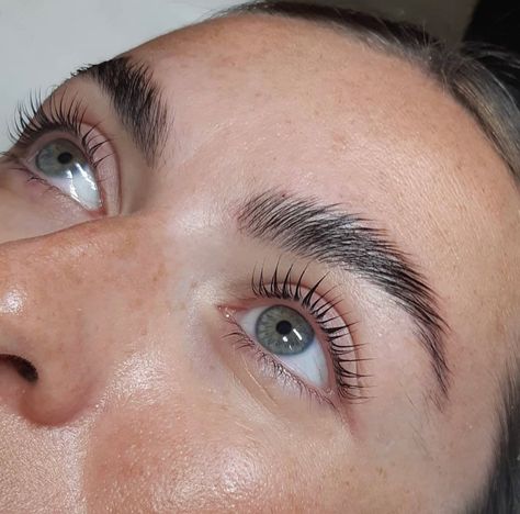 Lash And Brow Lamination, Brow And Lash Lamination, Lash And Brow Lift, Lamination Lashes, Lash Lamination, Arched Eyebrows, Lash Lifting, Lash Business, Full Brows