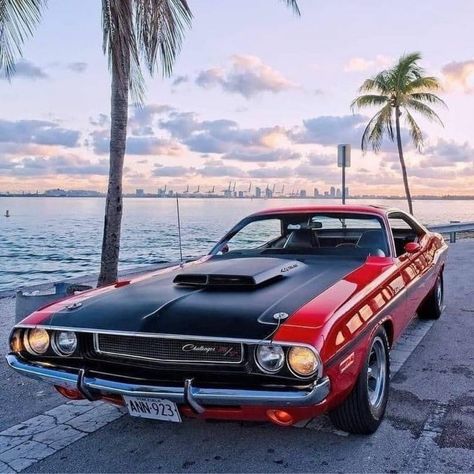 1970 Dodge Challenger RT🔥 Full tank of gas, where ya heading? 📷: @elhemi70 . . . #1970dodgechallenger #carrestoration #carrestorations #classiccars #1970dodgechallengerrt #1970dodge #classiccarrestoration #classiccarrestorations #cars #carsofinstagram #classics #vintagecar 70 Challenger, Challenger Rt, Dodge Rams, Dodge Muscle Cars, Dodge Cummins, Dodge Power Wagon, Mopar Cars, Vintage Muscle Cars, Vintage Muscle