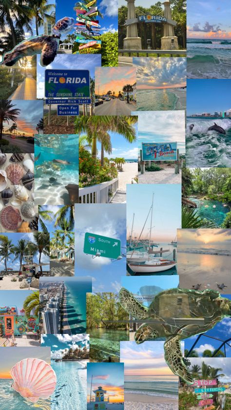 Florida Collage, Life Vision Board, St Petersburg Florida, Other Countries, St Petersburg, Florida, Collage