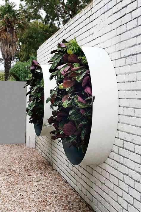 Gardens Australia, Garden Ideas To Make, Vertical Garden Design, Beautiful Home Gardens, نباتات منزلية, Vertical Garden Wall, Building A Pergola, Vertical Gardening, Plants Growing