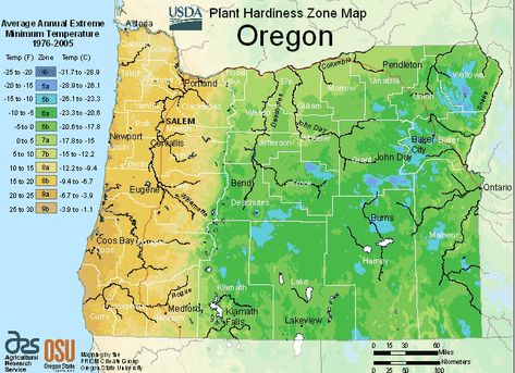 USDA Hardiness Zone Map For Oregon - The Garden Magazine Planting Zones Map, Vegetable Planting Calendar, Plant Hardiness Zone Map, Oregon Map, When To Plant Vegetables, Planting Calendar, Climate Zones, Plant Zones, Gardening Zones