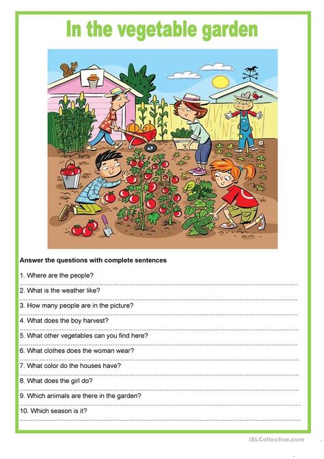 Picture description - In the vegetable garden - English ESL Worksheets for distance learning and physical classrooms Garden Worksheet, Creative Writing Topics, How To Grow Vegetables, English Creative Writing, Picture Comprehension, Picture Composition, Grow Vegetables, English Worksheets For Kids, Reading Comprehension Passages