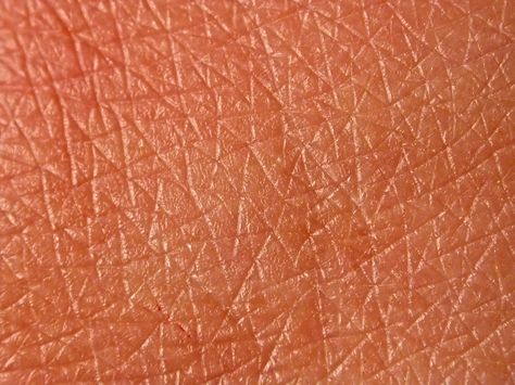 human skin Human Skin Texture, Skin Color Chart, Anatomical Art, Scale Skin, Micro Photography, Skin Tightening Face, Texture Photography, Beauty Kit, Skin Remedies