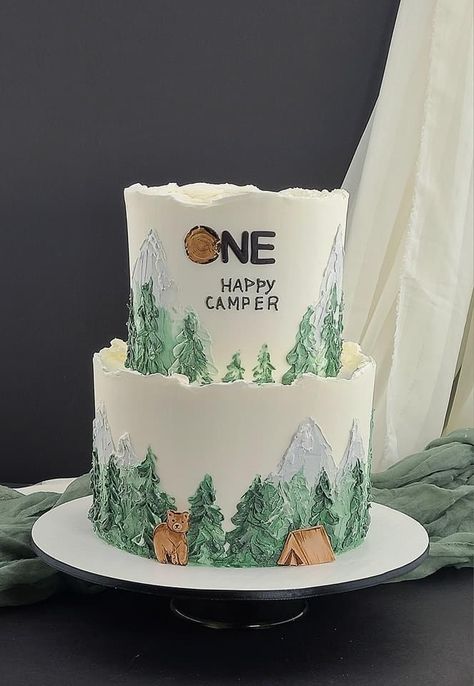 One Happy Camper First Birthday Smash Cake, Outdoor Theme First Birthday Party, One Happy Camper First Birthday Cake Smash, National Park Cake Ideas, Camping First Birthday Cake, One Happy Camper Party Food, One Happy Camper Birthday Cake, Camp Birthday Cake, One Happy Camper Sheet Cake