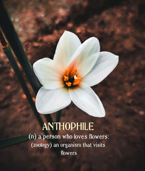 Flowers Lovers Quotes, Flower Lover Word, Anthophile Aesthetic, Flower Lover Quotes, A Person Who Loves Flowers, Aesthetic Usernames, English Thoughts, Describe Feelings, Beautiful Words In English