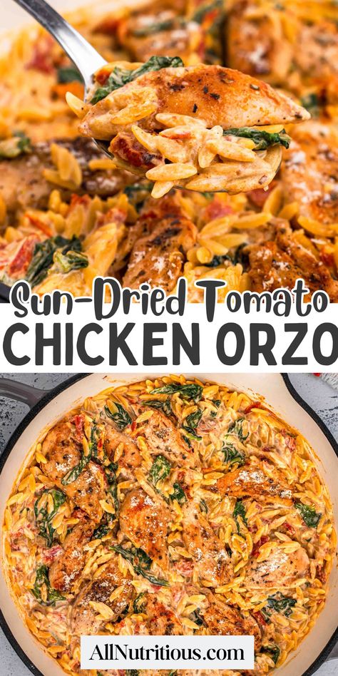 Creamy Sun-Dried Tomato Chicken Orzo Chicken Orzo Skillet With Sun-dried Tomatoes, Easy Group Recipes, Chicken Orzo With Sundried Tomato, Creamy Sun Dried Tomato Chicken Orzo, Chicken Spinach Tomato Orzo, Chicken Orzo One Skillet, Tucson Chicken Orzo, Easy Recipes Dinner Dairy Free, Shredded Chicken Orzo Recipes