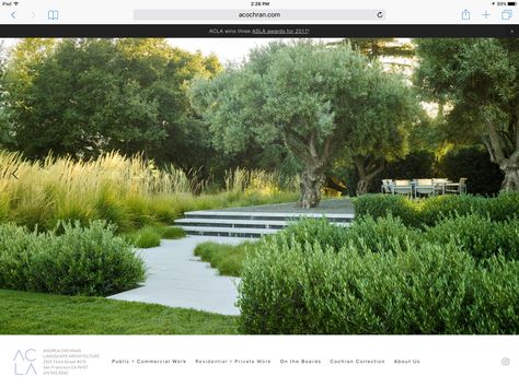 Andrea Cochran, Mediterranean Landscape Design, Landscaping Around Trees, Landscape Designers, Mediterranean Landscaping, Modern Landscape Design, Garden Shrubs, Contemporary Garden, Mediterranean Garden