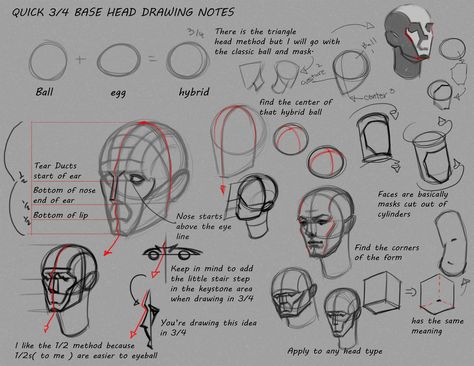 Simple 3/4 Head notes by FUNKYMONKEY1945 on DeviantArt Anime Training, Loomis Method, Head Reference, Head Anatomy, Facial Anatomy, Skeleton Anatomy, Artist Tutorials, Bryan Lee, Head Drawing