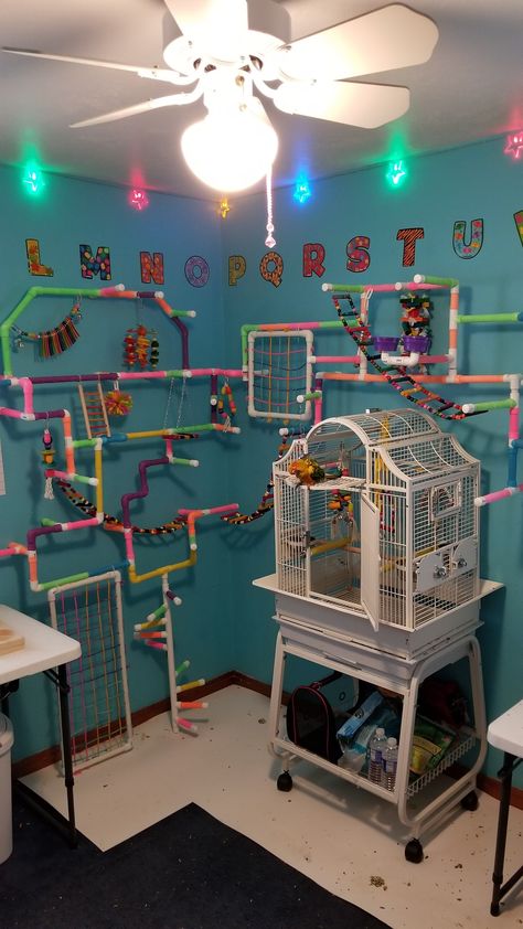 Bird Play Gym, Homemade Bird Toys, Parrot Play Stand, Diy Parrot Toys, Diy Bird Cage, Sugar Glider Toys, Diy Bird Toys, Conure Parrots, Pet Bird Cage