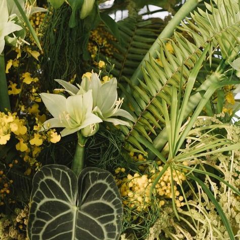 Jesse Tombs on Instagram: "Night one in The Maldives. 🍈 Planning + Design @jessetombs Photography @sberardweddings Videography @romavera_films Floral Design @nuudebotanica @jenyaflowers Paper Design @bournepaperco Production/Custom Furnishings/Lighting @eventmaldives Tabletop @theark_ Floral Production @ikebanamaldives JT Lead Producer @alice.jessetombs JT Production Team @morgan.jessetombs @christopher.xxii.woods @jongent Floral Production Team @lifestyledbyserena @thelittlebanana @leafandbloom Entertainment @bomberselecta @raalhumariyambu Additional Personal Photography @great_estphotoofficial @peduckk @chuttup Beauty Team @applebehappymakeup @biobell.lpz" Jesse Tombs, Personal Photography, The Maldives, Tropical Wedding, The A Team, Paper Design, Maldives, Wedding Planning, Floral Design