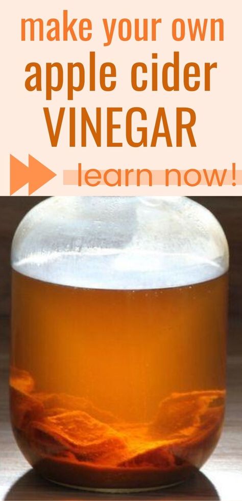 Learn to Make Apple Cider Vinegar (from scratch) • a traditional life Apple Cider Vinegar Diy, Homemade Apple Cider Vinegar, Make Apple Cider, Making Apple Cider, Apple Cider Vinegar Recipes, Make Apple Cider Vinegar, Homemade Apple Cider, Apple Cider Vinegar Drink, Fermentation Recipes