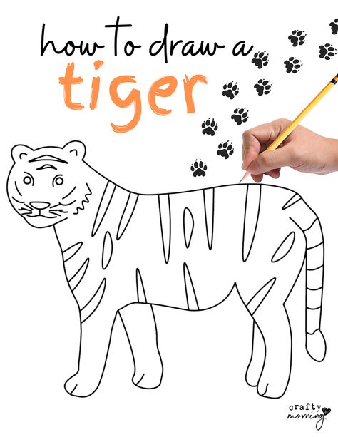 How to Draw a Tiger Step by Step Simple Tiger Drawing, Cute Tiger Drawing Easy, Tiger Drawing Simple, Tiger How To Draw, How To Draw A Tiger Easy, How To Draw A Tiger, Drawing Tiger Easy, Tiger Sketch Easy, Tiger Drawing Easy Step By Step