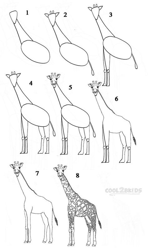 3.3Kshares Facebook46 Twitter2 Pinterest3.3K StumbleUpon0 TumblrThere are some creatures out there that are a cartoonist’s dream in the features they have and the giraffe is definitely one of them. We mean just look at the giraffe with its disproportionately long neck, small face with wide eyes, those cute little horn like things on their head, the mouth that seems to have a weird movement while chewing and the long legs. Need we go on? There is so much the giraffe has to offer in terms of ca... Trin For Trin Tegning, Giraffe Drawing, Giraffe Art, Drawing Faces, A Giraffe, Drawing Supplies, Animal Sketches, Art Drawings For Kids, Creative Drawing