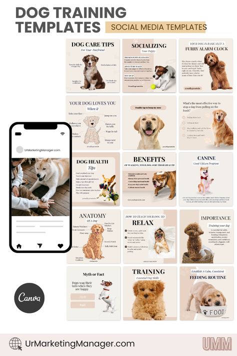 Our templates are the perfect solution for dog trainers and agencies looking to showcase their expertise and grow their business. With ready-to-post content, you'll save time and keep your feed looking professional and consistent. Pet Care Social Media Post, Dog Social Media Post Ideas, Dog Training Social Media Post, Dog Training Business, Dog Daycare Business, Vet Life, Daycare Business, Dog Marketing, Facebook Social Media