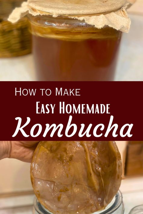 This summer wow your family with some delicious easy homemade kombucha. Not only will they love the flavor but the health benefits of getting kombucha into your diet are incredible. Homemade Kombucha, Kombucha Recipe, Gallon Jars, Wanting More, Brewing Tea, Sweet Tea, Clean Hands, Kombucha, Easy Homemade