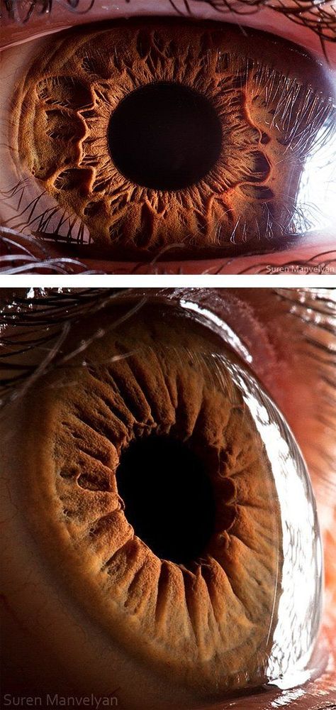 Photo Series Ideas, Typography Photography, Foto Macro, Eyes Photo, Creepy Eyes, Eye Close Up, Inspiration Illustration, Human Eyes, Eye Pictures